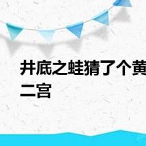 井底之蛙猜了个黄道十二宫