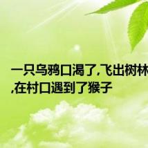 一只乌鸦口渴了,飞出树林找水喝,在村口遇到了猴子