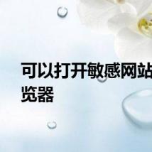可以打开敏感网站的浏览器