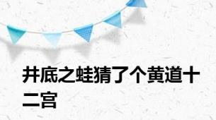 井底之蛙猜了个黄道十二宫