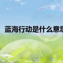 蓝海行动是什么意思？
