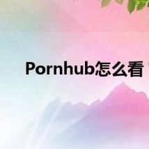 Pornhub怎么看？