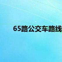 65路公交车路线