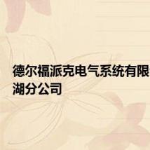 德尔福派克电气系统有限公司芜湖分公司
