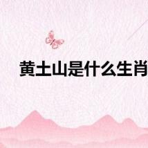 黄土山是什么生肖？