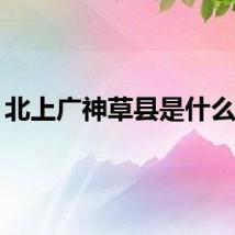 北上广神草县是什么梗？