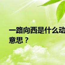 一路向西是什么动物的意思？