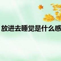 放进去睡觉是什么感觉？