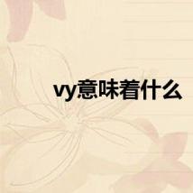 vy意味着什么