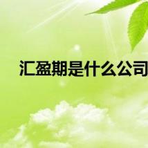 汇盈期是什么公司？