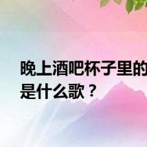 晚上酒吧杯子里的花束是什么歌？
