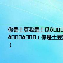 你是土豆我是土瓜