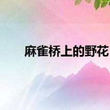 麻雀桥上的野花