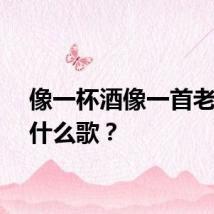 像一杯酒像一首老歌是什么歌？