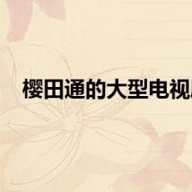 樱田通的大型电视剧