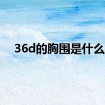 36d的胸围是什么？