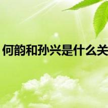 何韵和孙兴是什么关系？