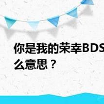 你是我的荣幸BDS你什么意思？