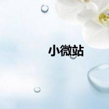 小微站
