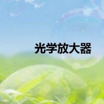 光学放大器