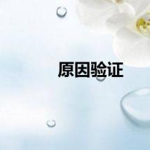 原因验证