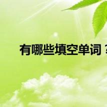有哪些填空单词？