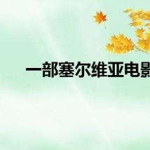 一部塞尔维亚电影