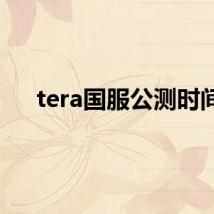 tera国服公测时间