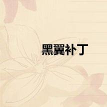 黑翼补丁