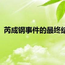 芮成钢事件的最终结果