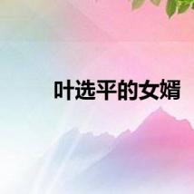 叶选平的女婿