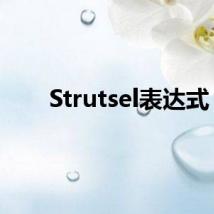 Strutsel表达式