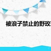 被浪子禁止的野玫瑰