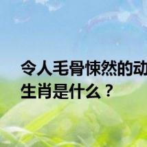 令人毛骨悚然的动物的生肖是什么?