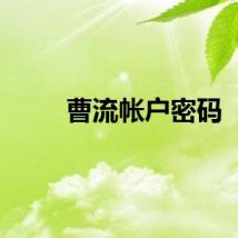 曹流帐户密码