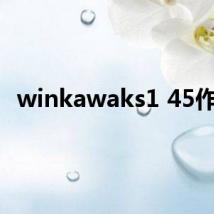 winkawaks1 45作弊
