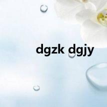 dgzk dgjy