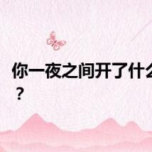 你一夜之间开了什么生肖？
