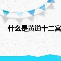 什么是黄道十二宫？