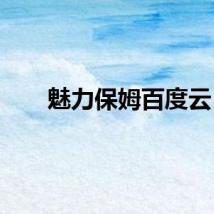魅力保姆百度云