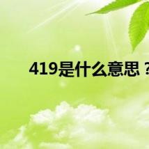 419是什么意思？