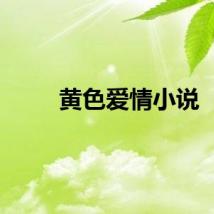 黄色爱情小说