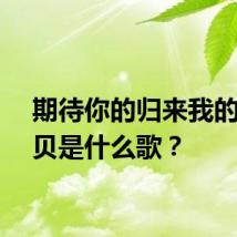 期待你的归来我的小宝贝是什么歌？
