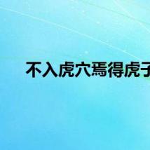 不入虎穴焉得虎子