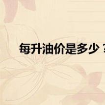 每升油价是多少？