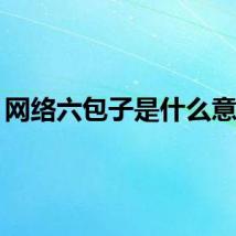 网络六包子是什么意思？