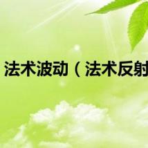 法术波动(法术反射宏)