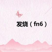 发烧（fn6）