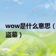 wow是什么意思(wow盗墓)