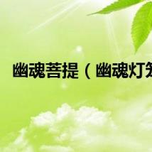 幽魂菩提（幽魂灯笼）